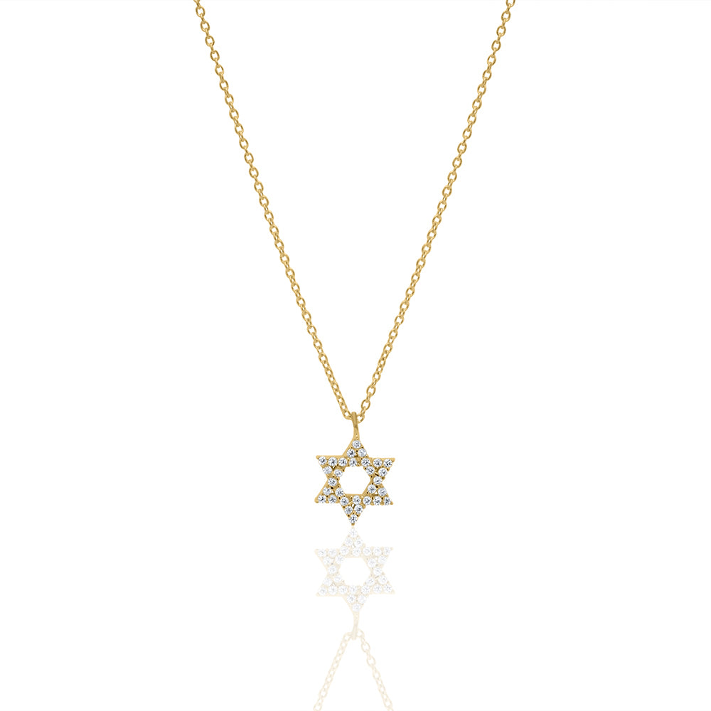 Small classic star of David necklace