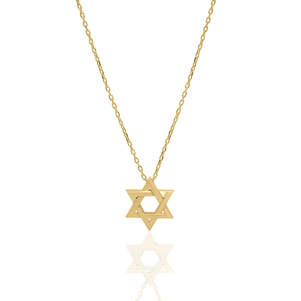 Large plain braided star of david necklace