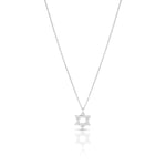 Load image into Gallery viewer, 14k gold Classic Star of David necklace
