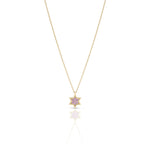 Load image into Gallery viewer, 14k gold 1cm full star of David Pink sapphire necklace
