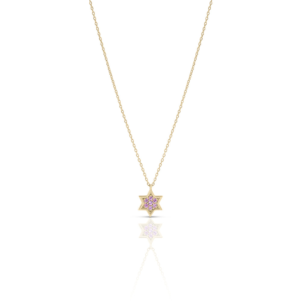 14k gold 1cm full star of David Pink sapphire necklace