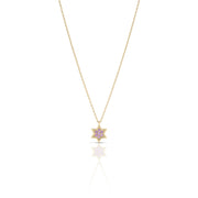 14k gold 1cm full star of David Pink sapphire necklace