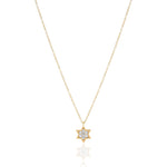 Load image into Gallery viewer, Silver 1 cm full star of david necklace
