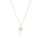 Load image into Gallery viewer, 14k gold large full Star of David necklace

