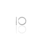 Load image into Gallery viewer, Hoop Earrings M
