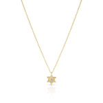Load image into Gallery viewer, Single Star of david necklace
