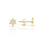 Load image into Gallery viewer, Silver Mystic full star studs
