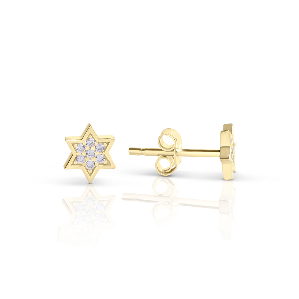 Silver Mystic full star studs