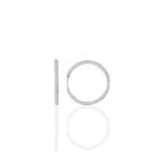 Load image into Gallery viewer, Hoop Earrings L
