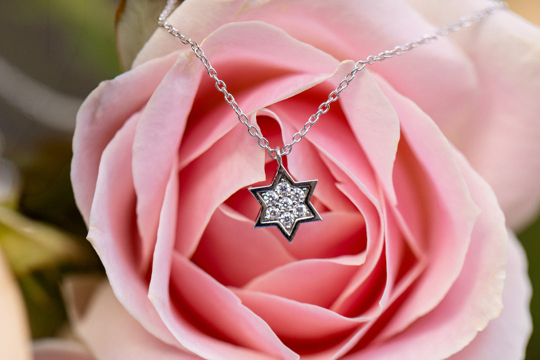 Silver 1 cm full star of david necklace