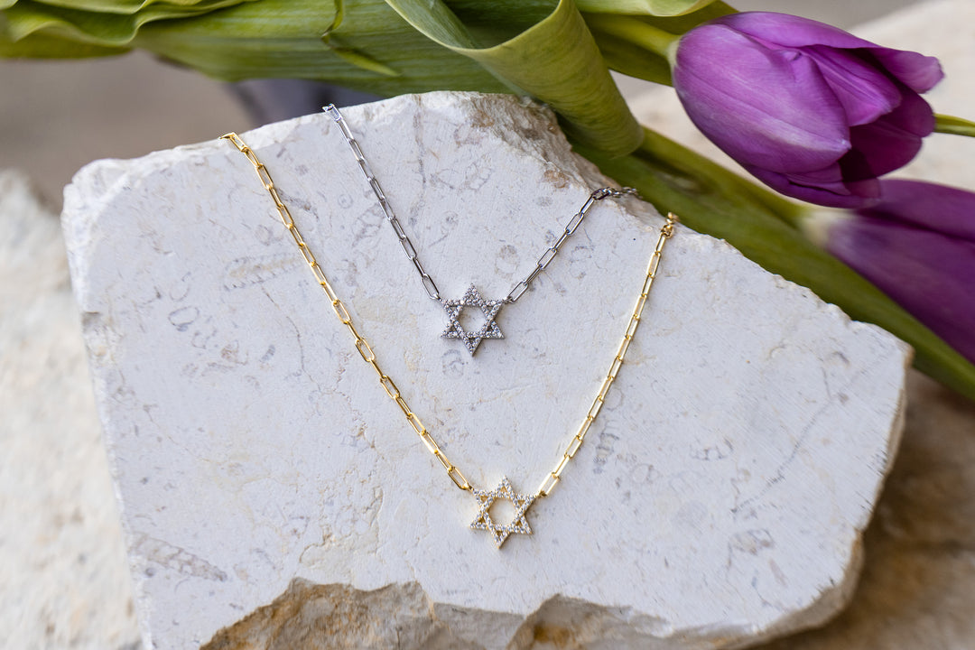 Classic star of david necklace paperclip