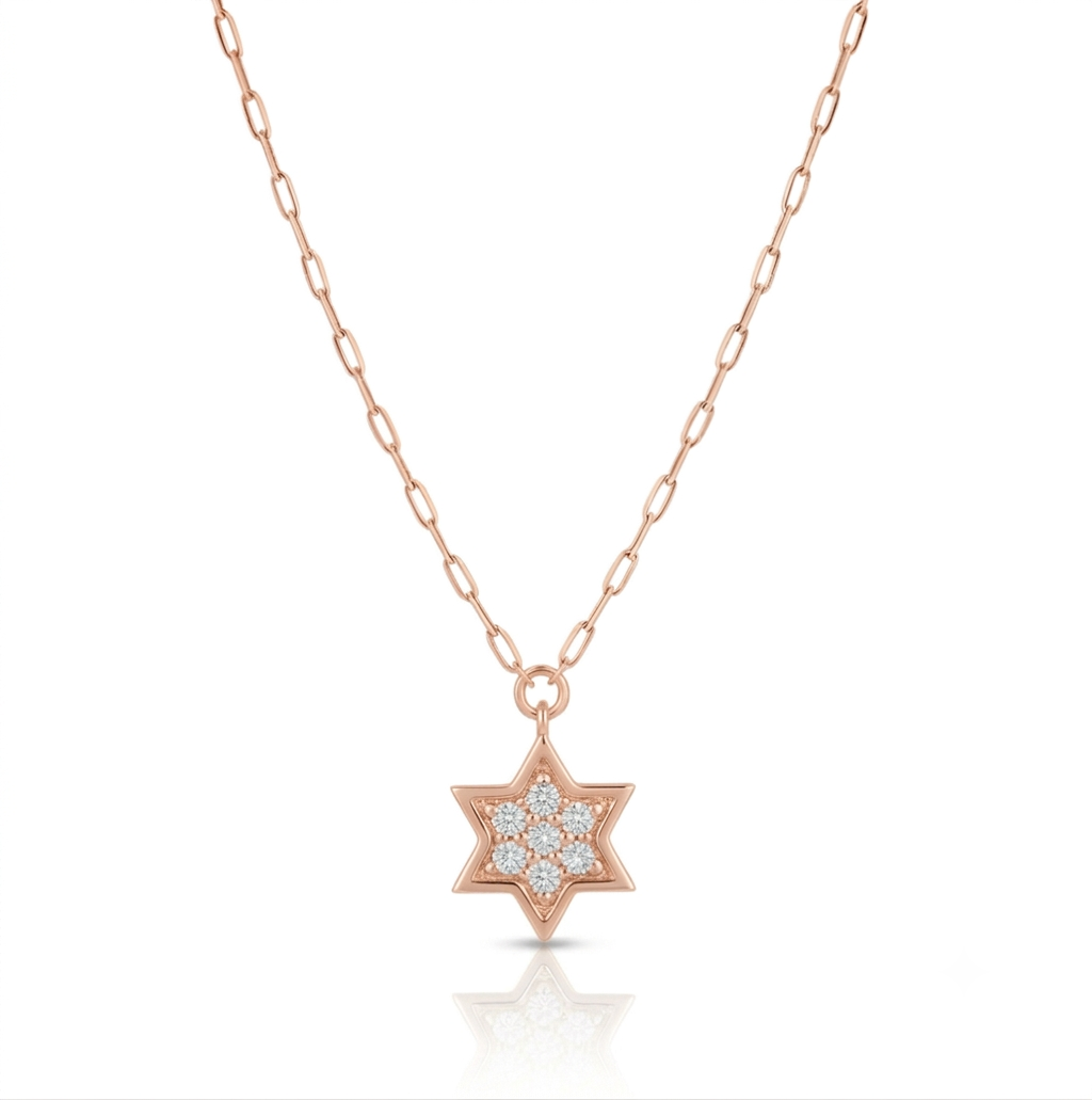 14k gold 1.2cm full Star of David necklace paperclip