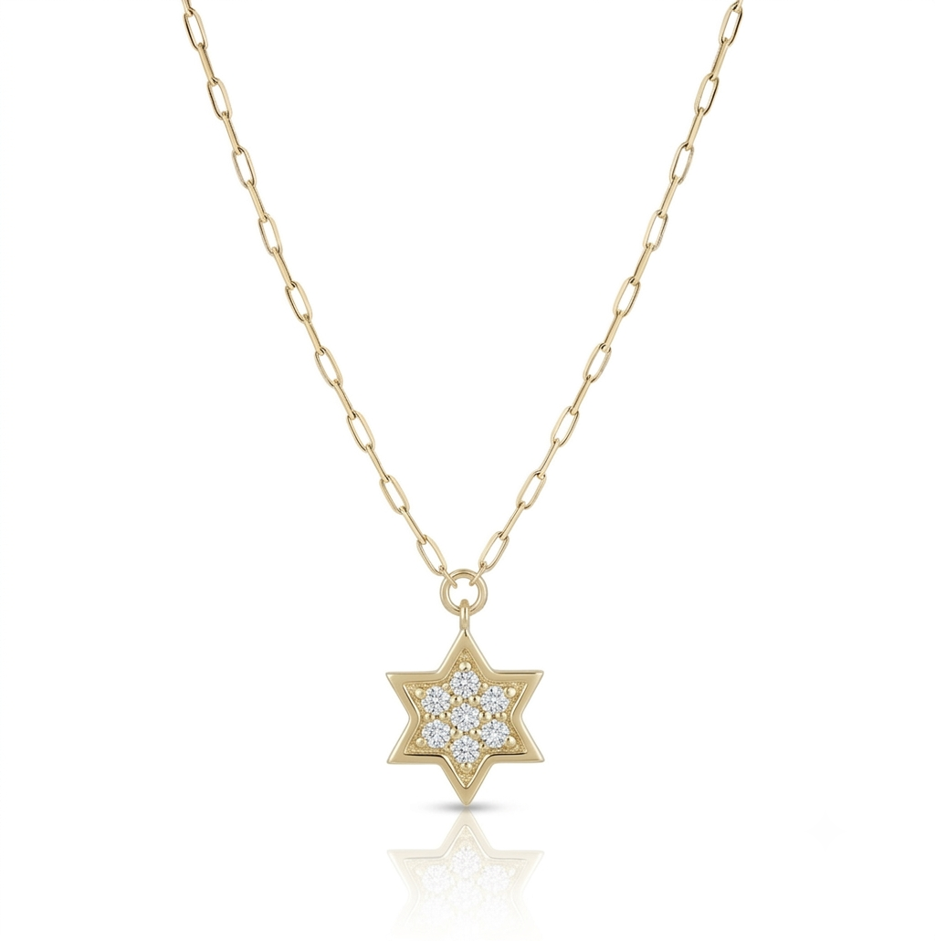 14k gold 1.2cm full Star of David necklace paperclip