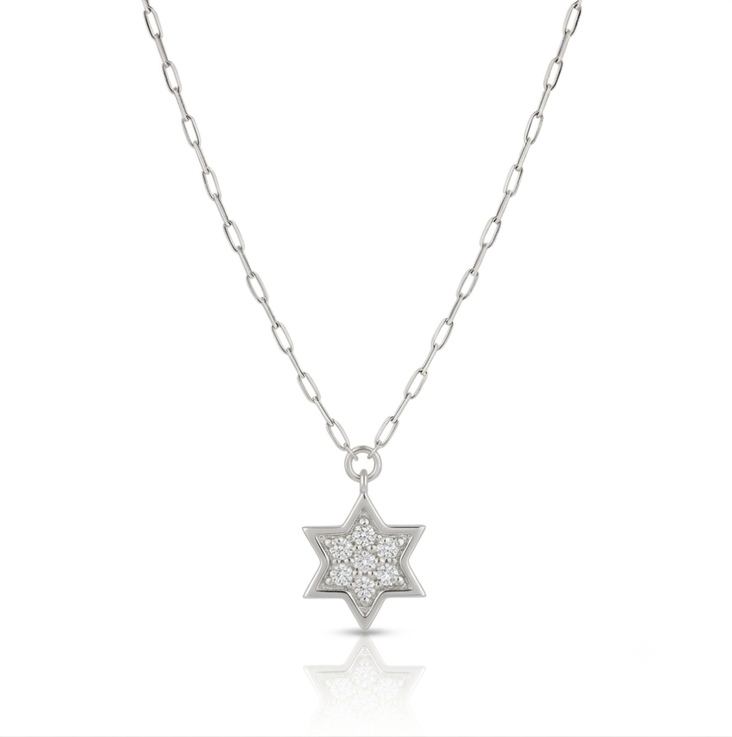 14k gold 1.2cm full Star of David necklace paperclip