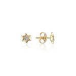 Load image into Gallery viewer, 14k gold Mystic Full Dimond Star Of David
