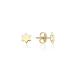 Load image into Gallery viewer, 14k gold Mystic Gold Star Of David
