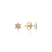 Silver Mystic full star studs
