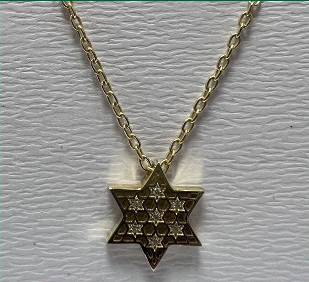 14k gold skeleton Star of david Necklace