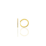 Load image into Gallery viewer, Hoop Earrings S
