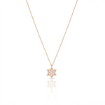 Load image into Gallery viewer, 14k gold large full Star of David necklace