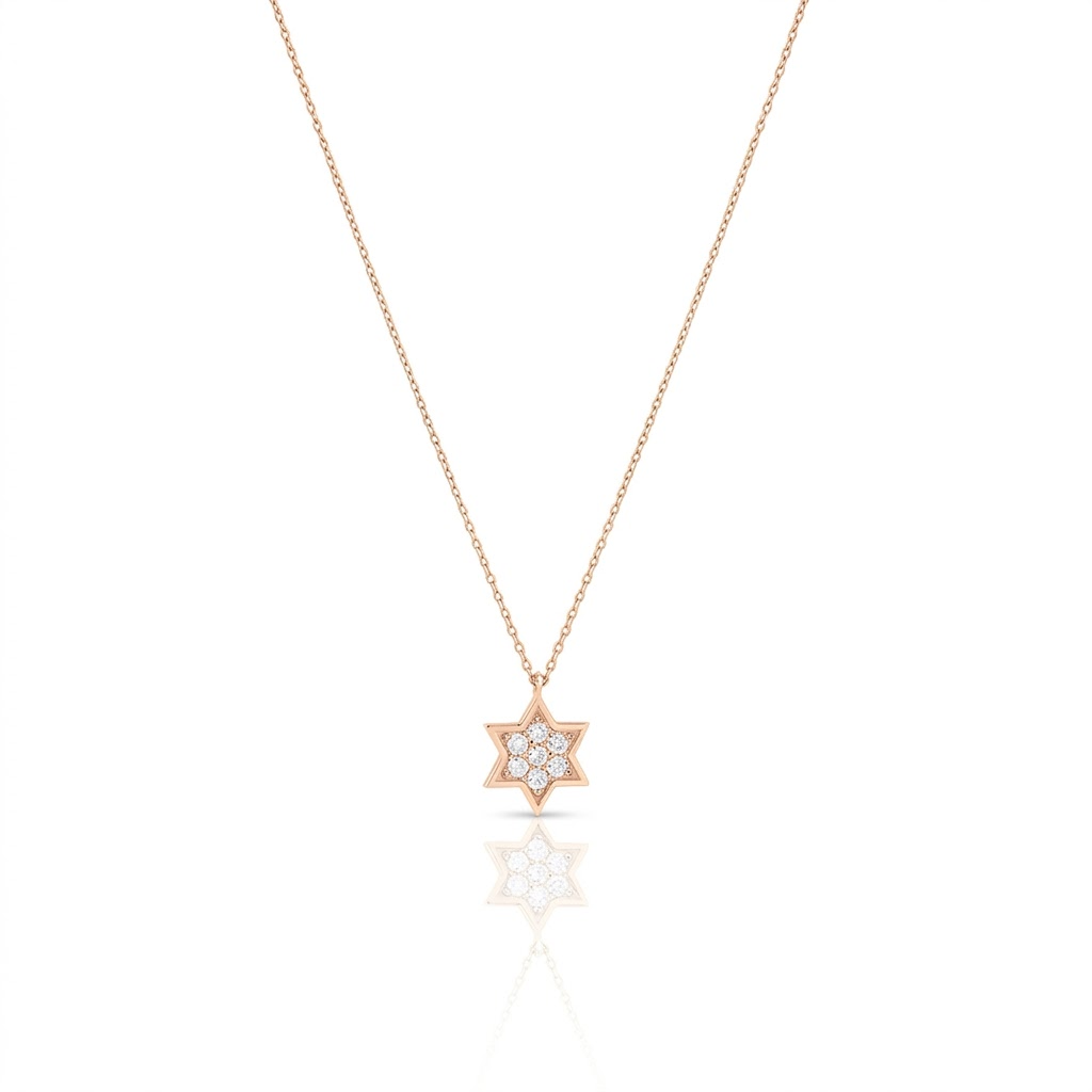 14k gold large full Star of David necklace