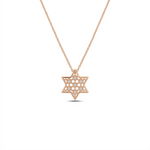 Load image into Gallery viewer, 14k gold Honeycomb Star of david Necklace