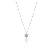 14k gold 1cm full star of David Pink sapphire necklace