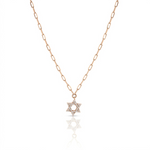 Load image into Gallery viewer, 14k gold Large Classic Star of David necklace paperclip