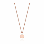 Load image into Gallery viewer, 14k gold Mystic Star of David