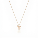 Load image into Gallery viewer, 14k gold small single diamod hai necklace