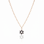 Load image into Gallery viewer, 14k gold Classic star of David necklace paperclip. Black diamonds