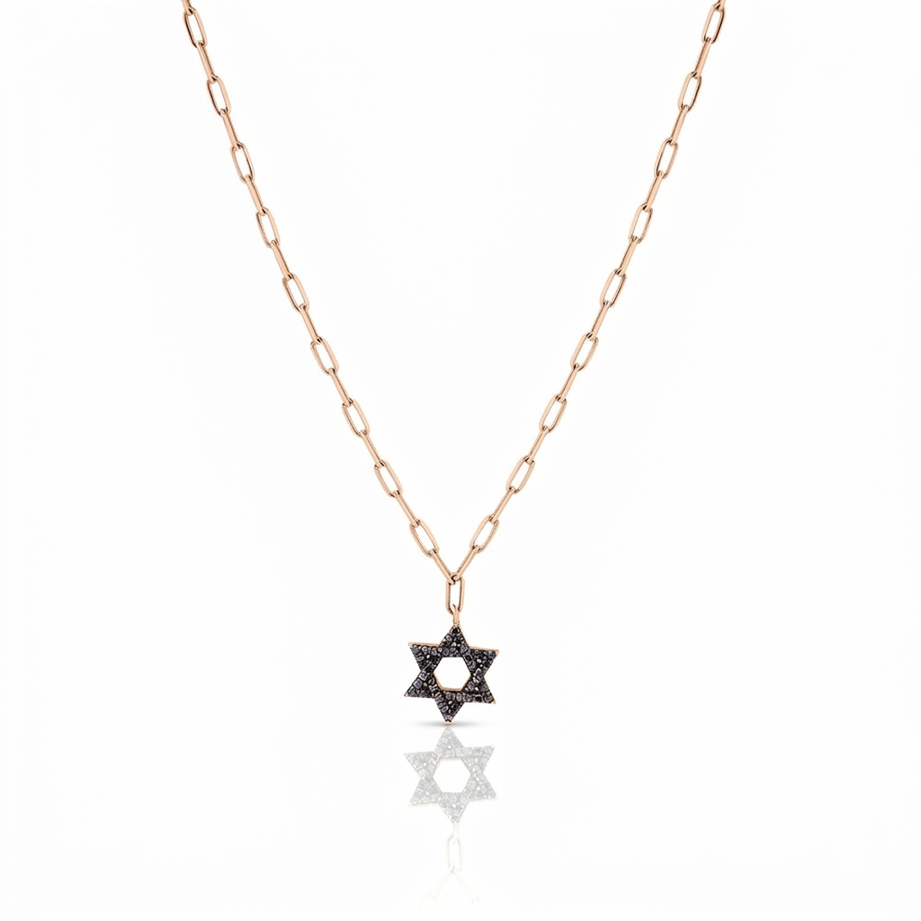 14k gold Classic star of David necklace paperclip. Black diamonds