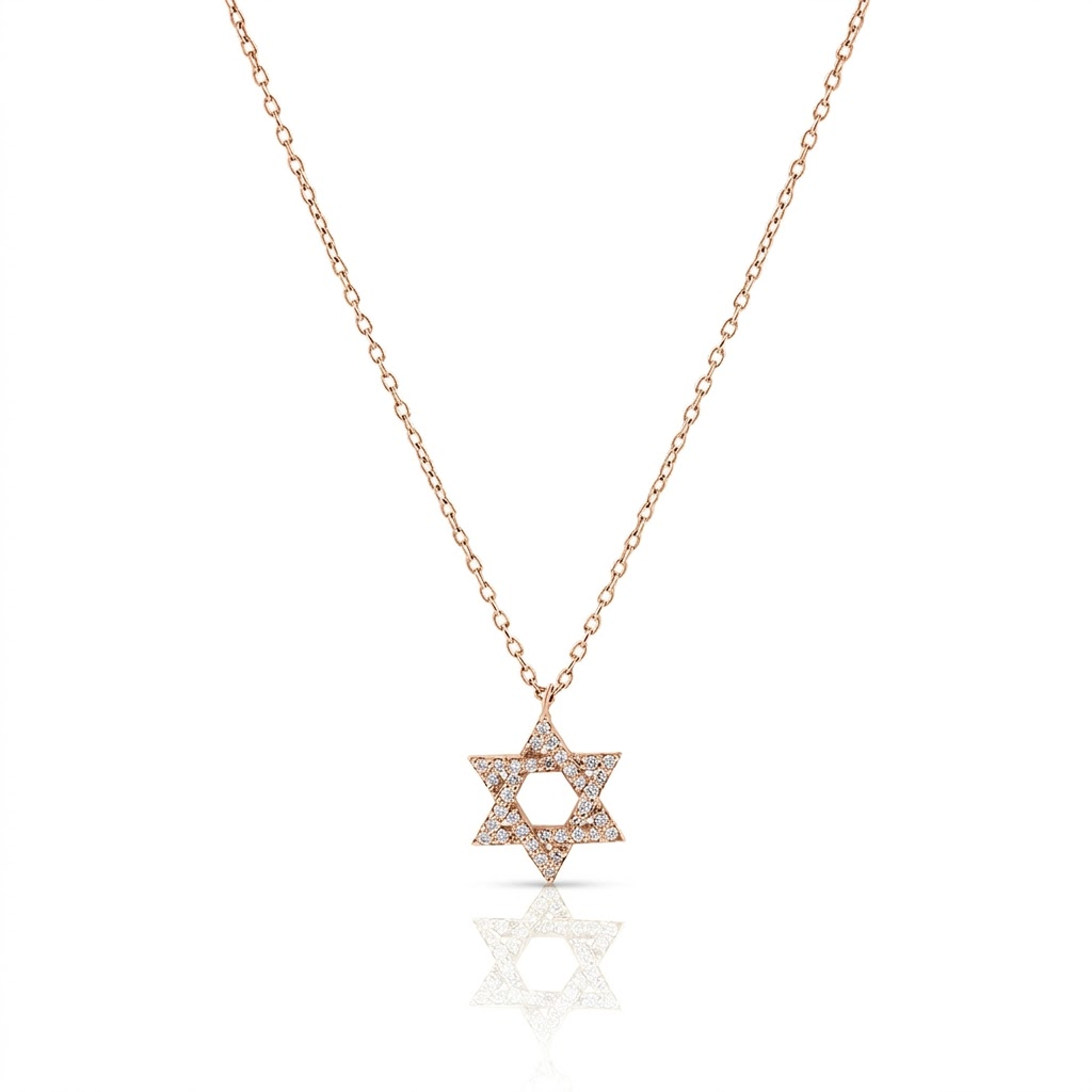 14k gold Large Classic Star of David necklace