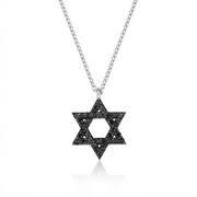 14k gold Classic star of David necklace Black diamonds
