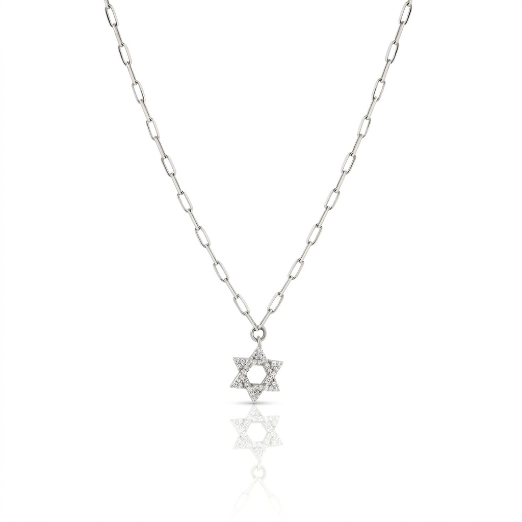 14k gold Large Classic Star of David necklace paperclip