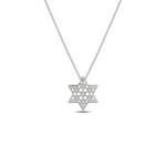 Load image into Gallery viewer, 14k gold Honeycomb Star of david Necklace