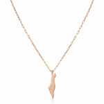 Load image into Gallery viewer, 14K Gold Israel Map Diamond Paperclip Necklace