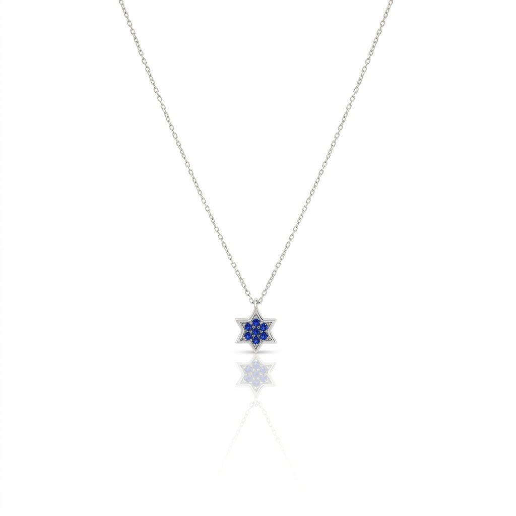 14k gold 1cm full star of David Blue sapphire necklace