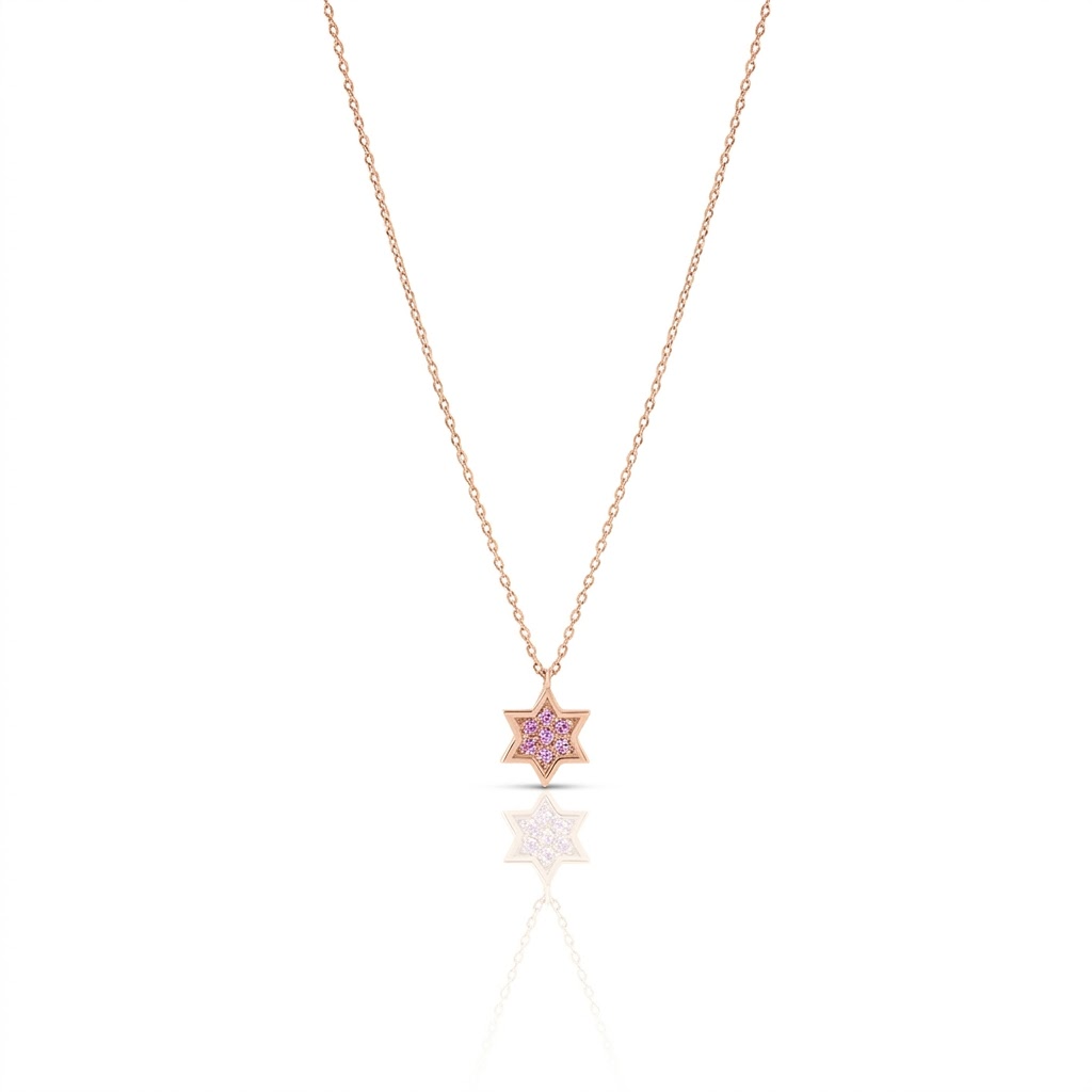 14k gold 1cm full star of David Pink sapphire necklace