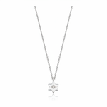 Load image into Gallery viewer, 14k gold  Mystic Single Diamond Star of David