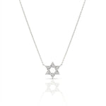 Load image into Gallery viewer, 14k gold Large Classic Star of David necklace