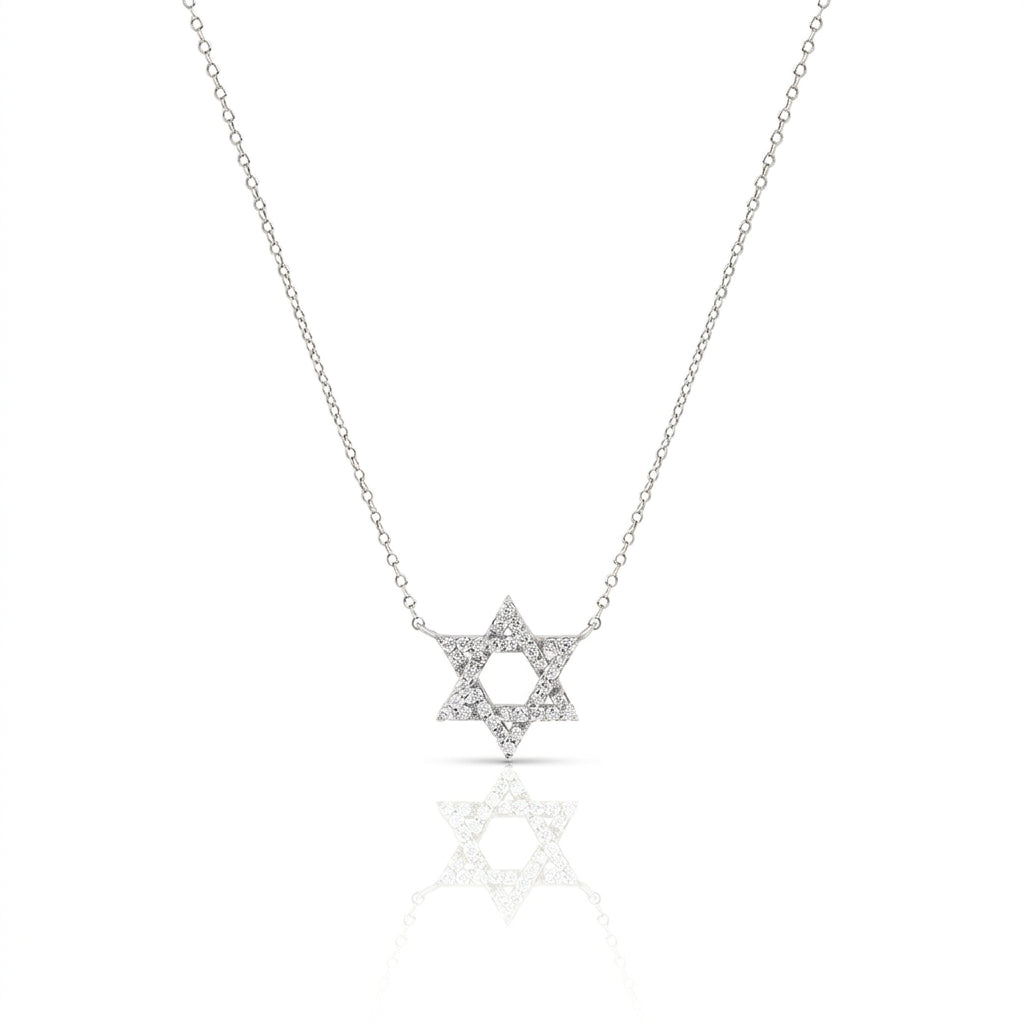 14k gold Large Classic Star of David necklace