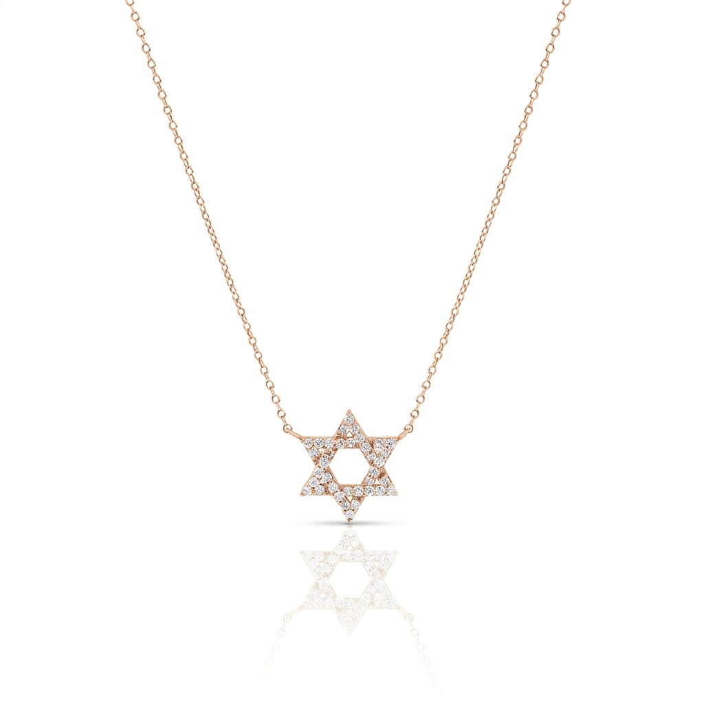 14k gold Large Classic Star of David necklace