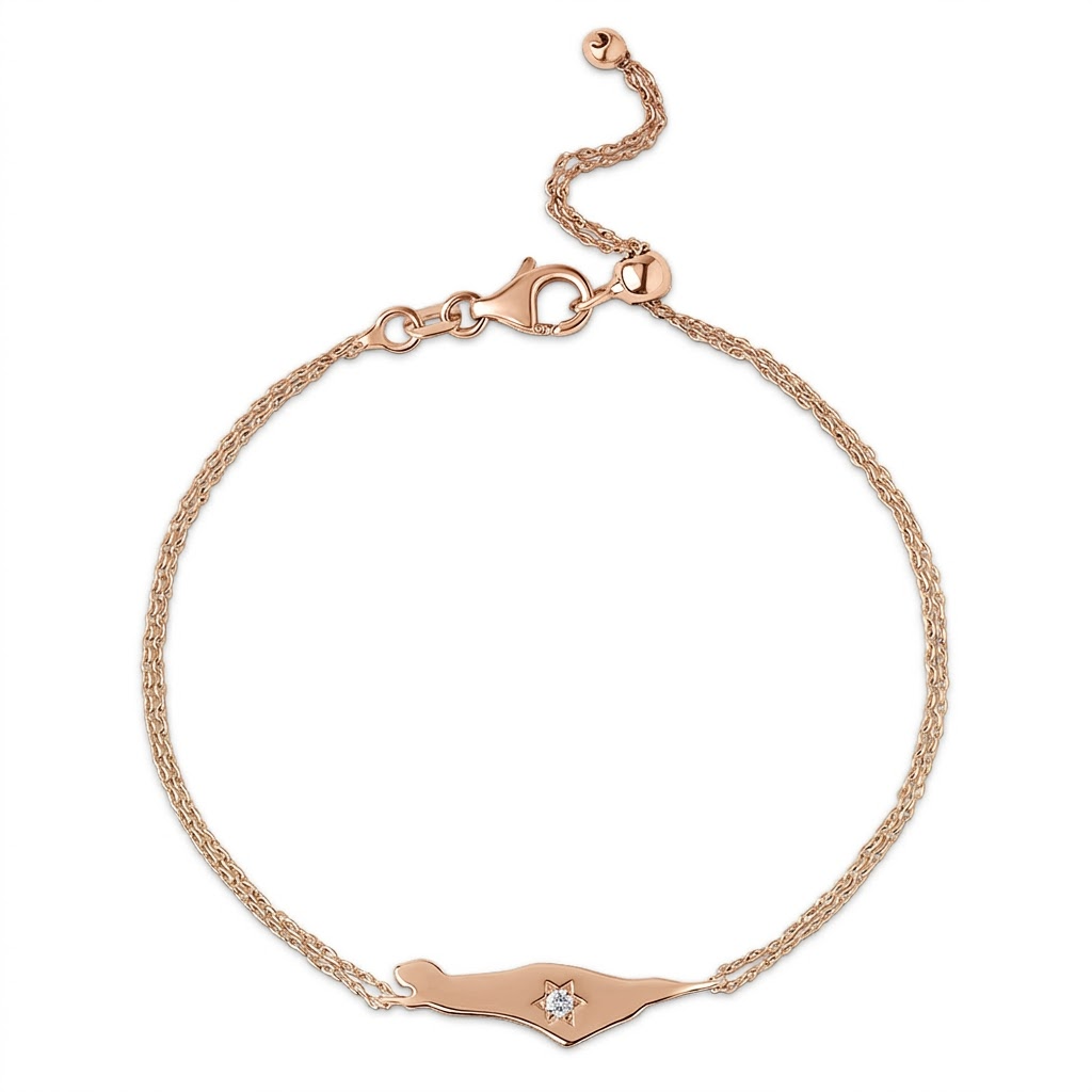 14K Gold star diamond Map of Israel bracelet