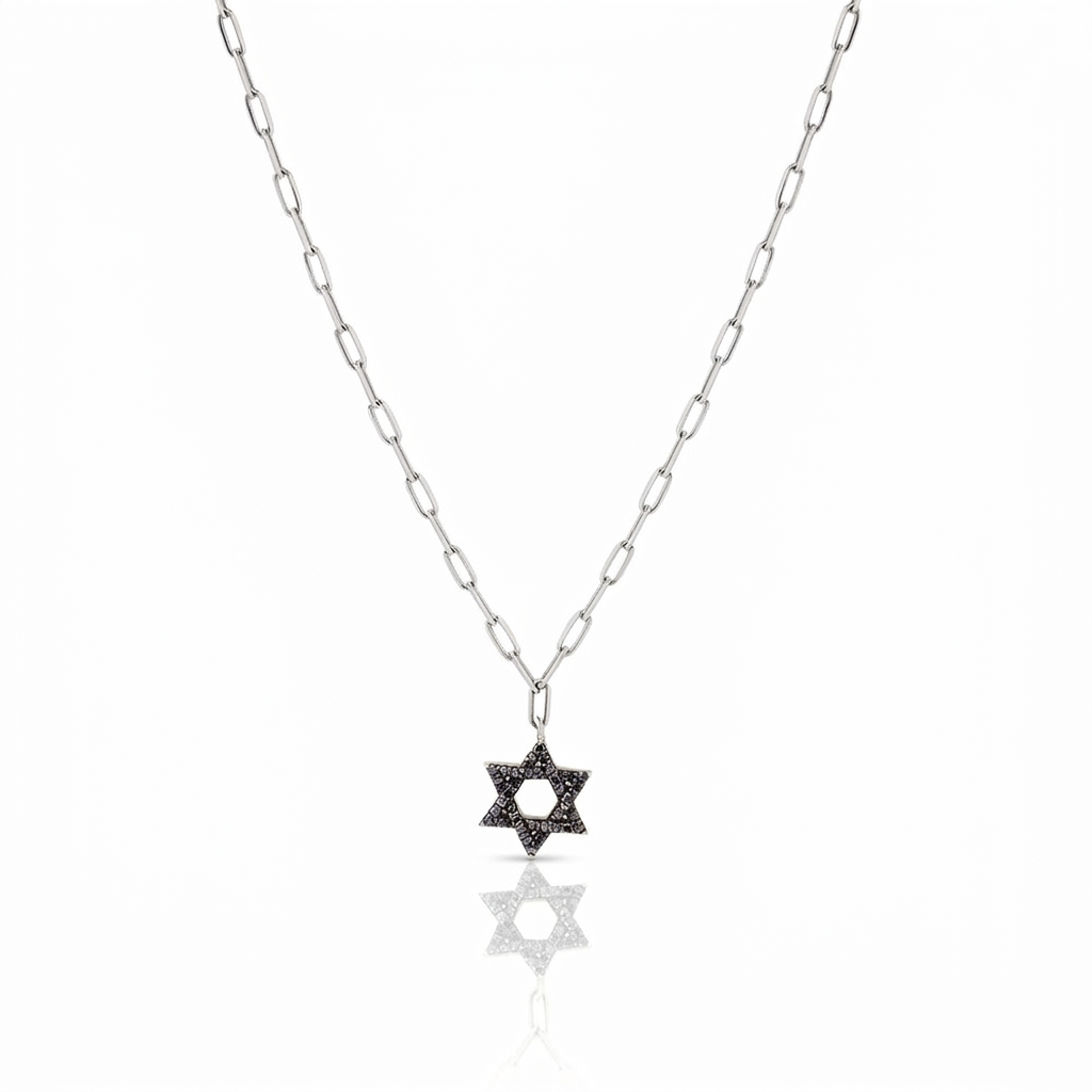 14k gold Classic star of David necklace paperclip. Black diamonds